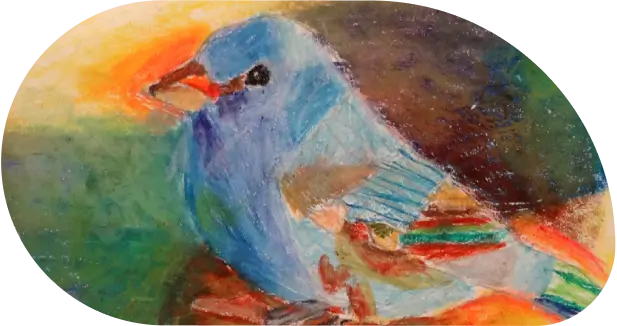 bird