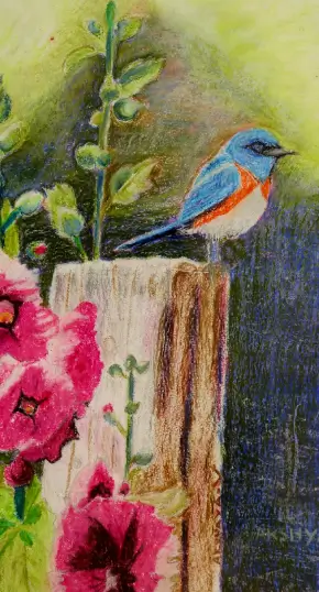 bird