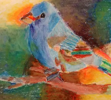 pigeon
